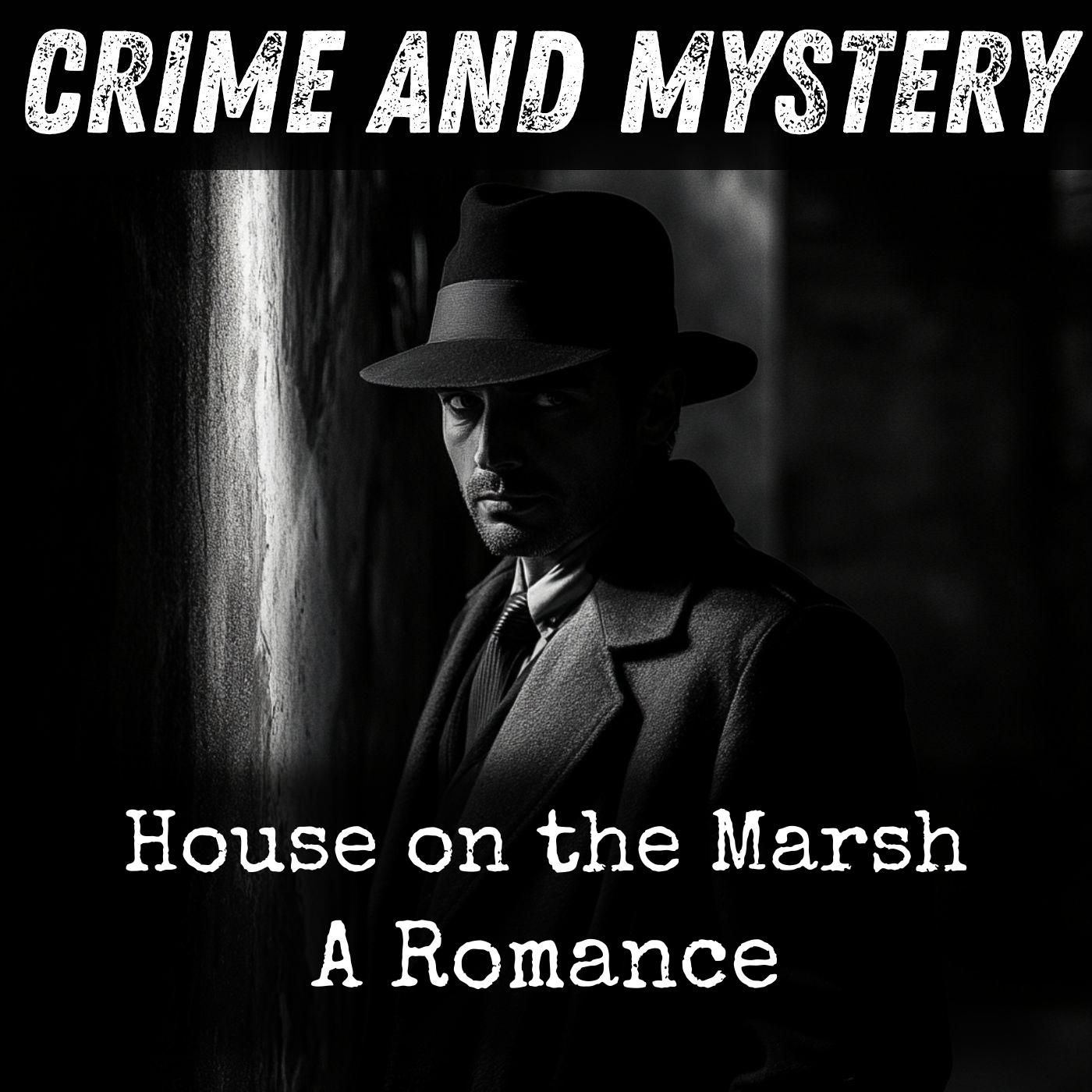 House on the Marsh - A Romance