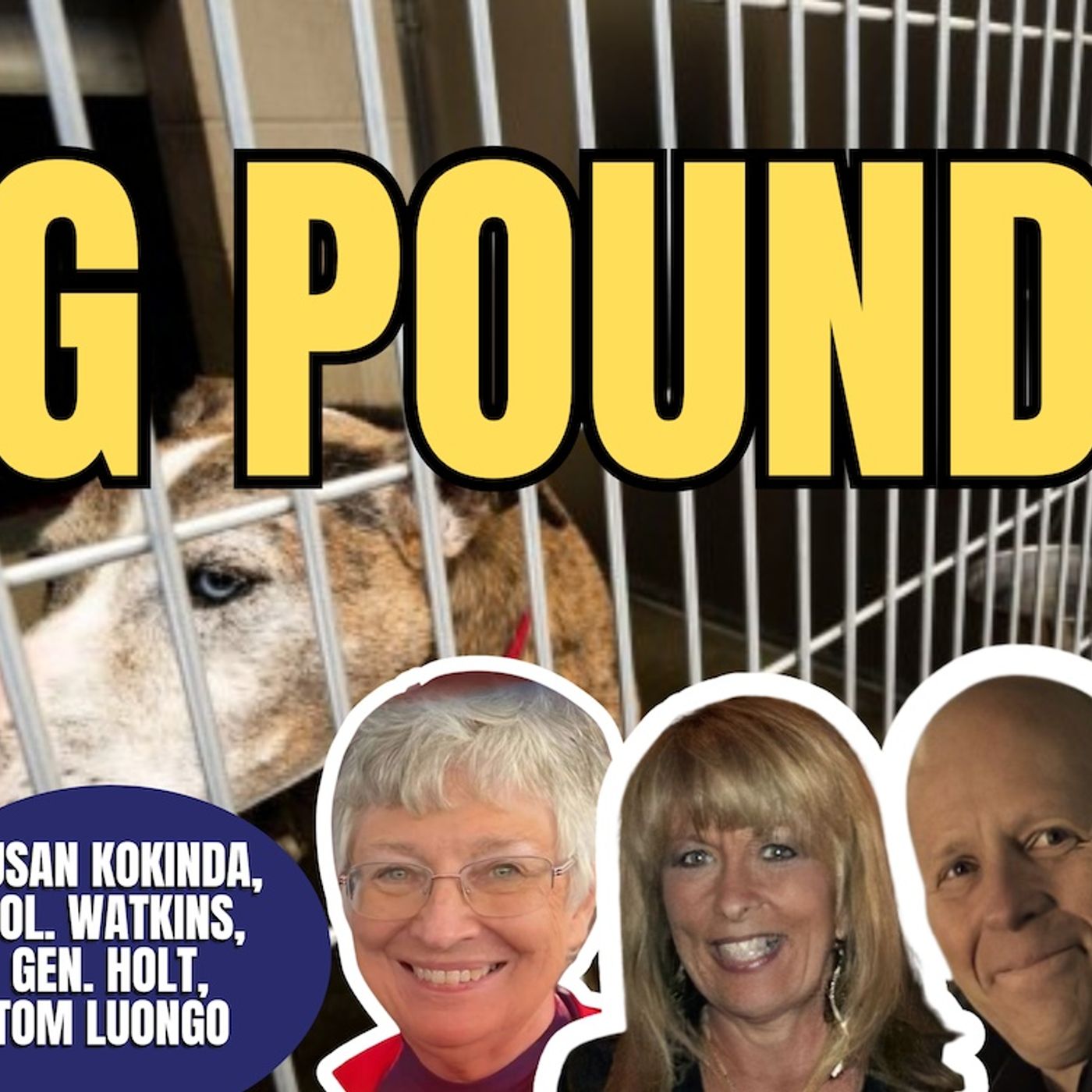 Dog Pound | Susan Kokinda, Tom Luongo, Col. Watkins, Gen. Holt (TPC #2,104) episode artwork