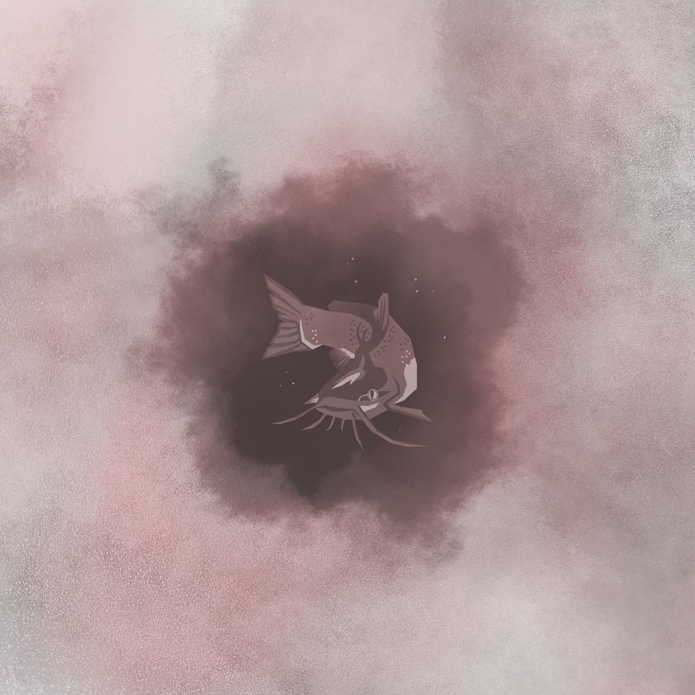 5 | Catfish