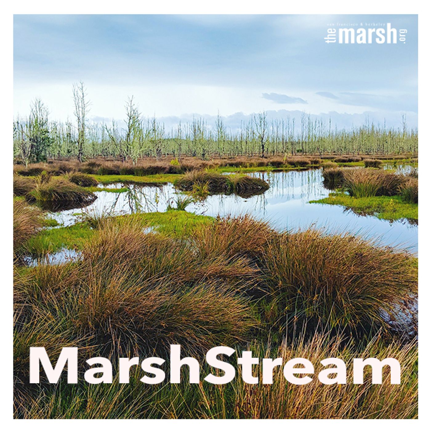 MarshStream, a podcast from The Marsh