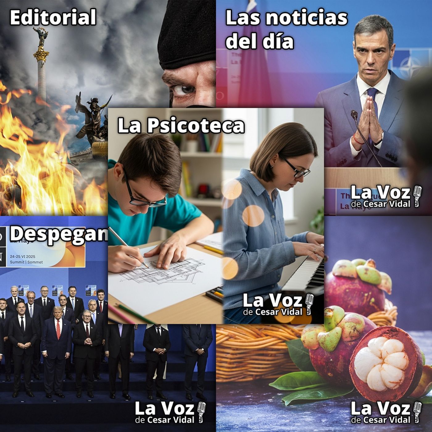 Programa Completo de La Voz de César Vidal - 25/06/25 episode artwork