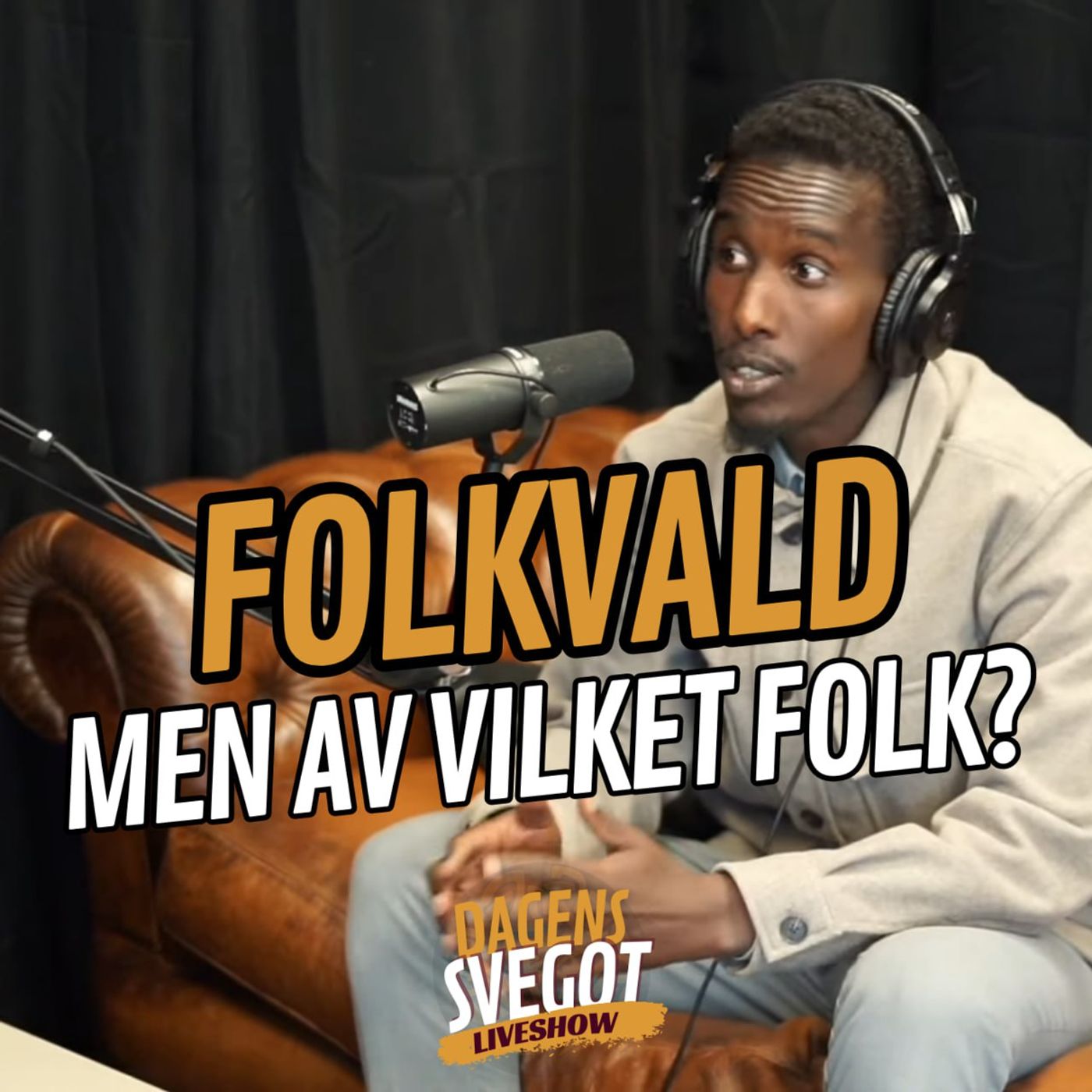 Svenskhatande somalier: Folkvald, men av vilket folk?