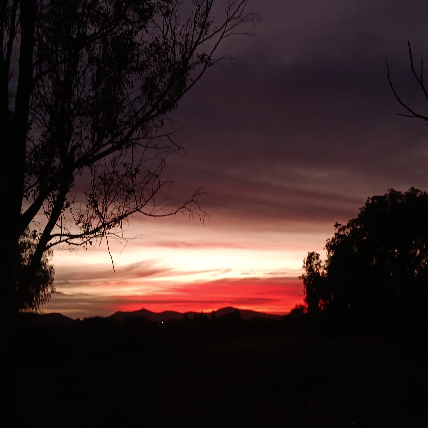 El podcast de Ale cover art