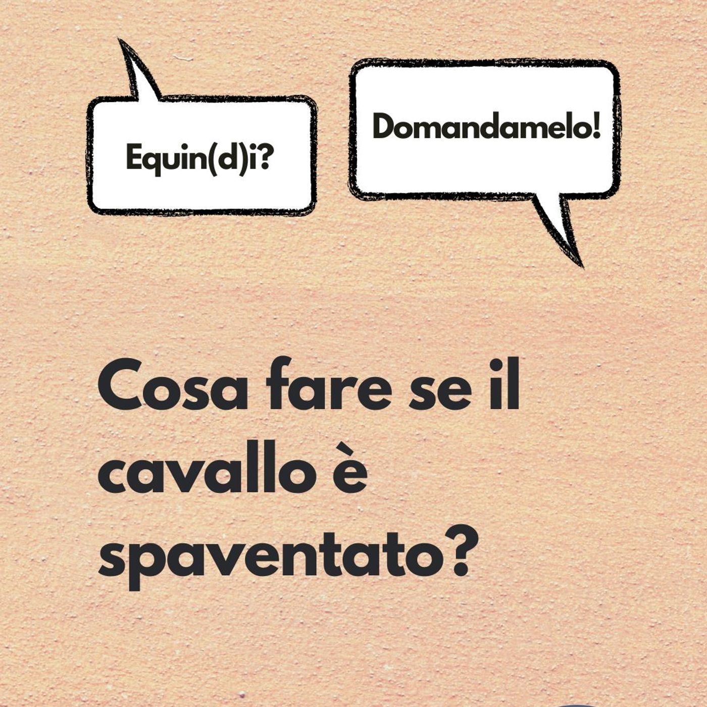 Etologia Equina, il comportamento del cavallo