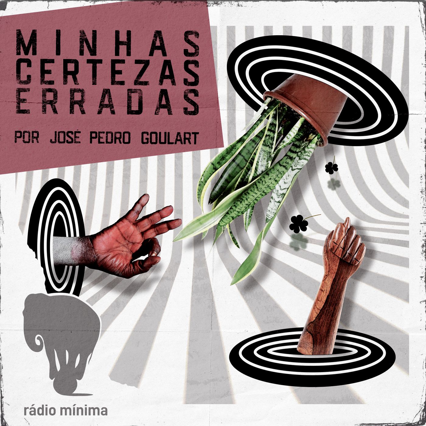 Minhas Certezas Erradas