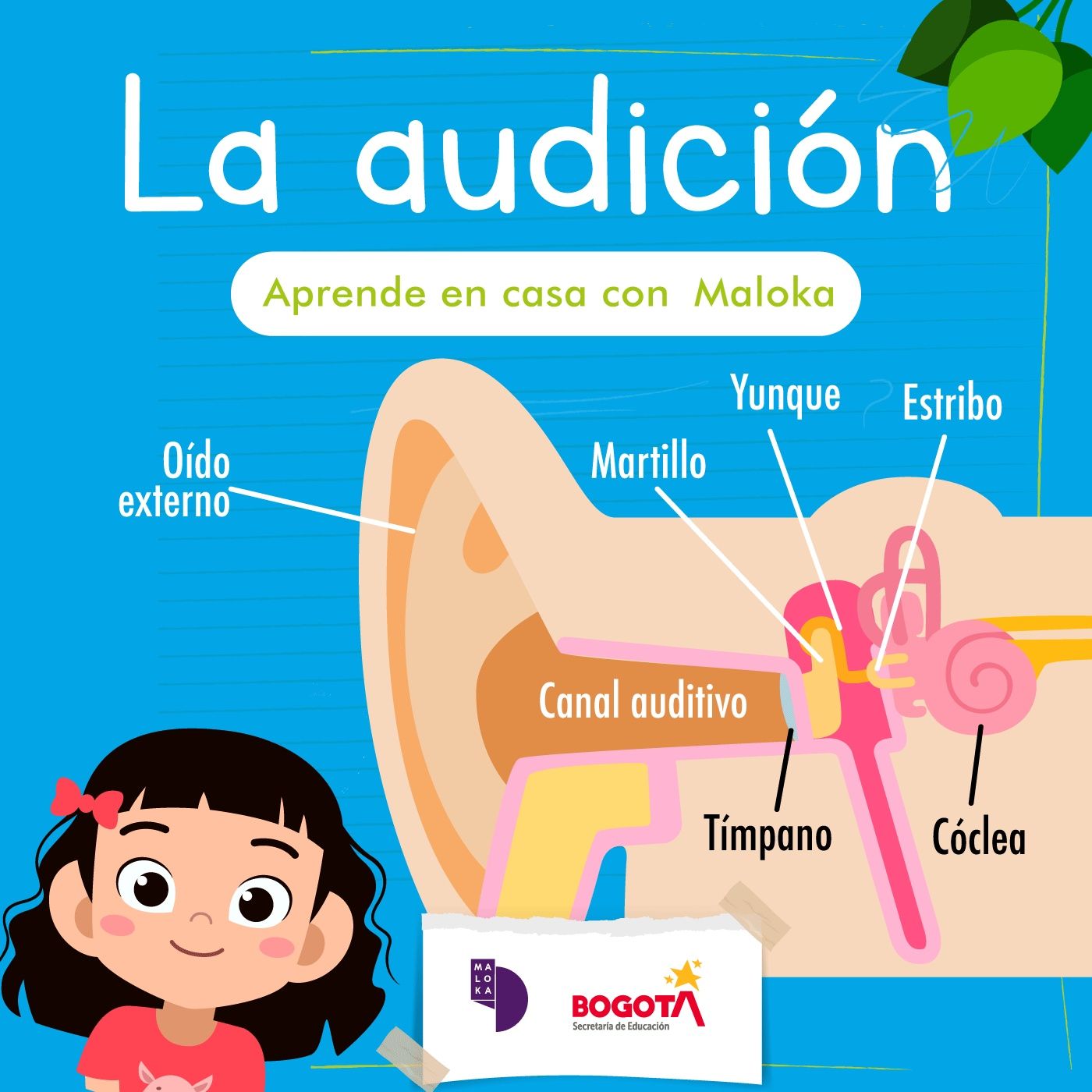 Aprende en Casa con Maloka