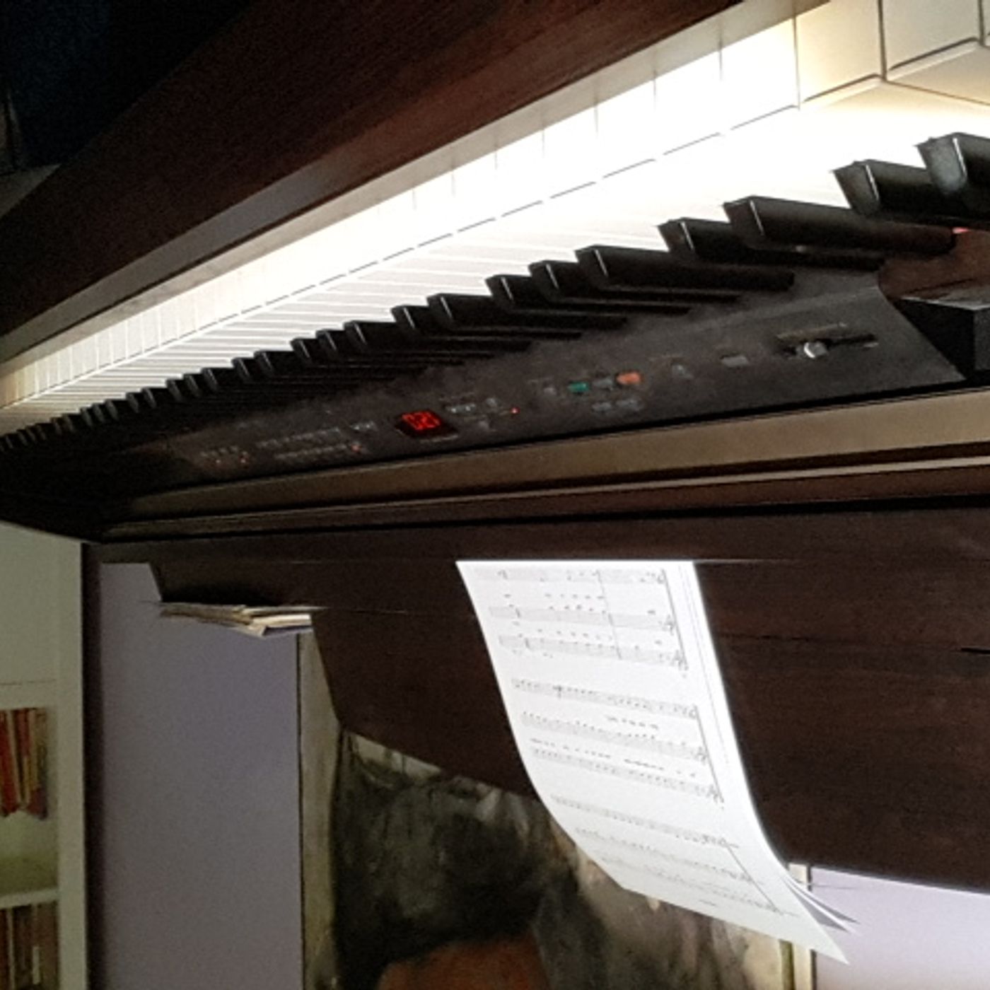 El show de El musicajajaja