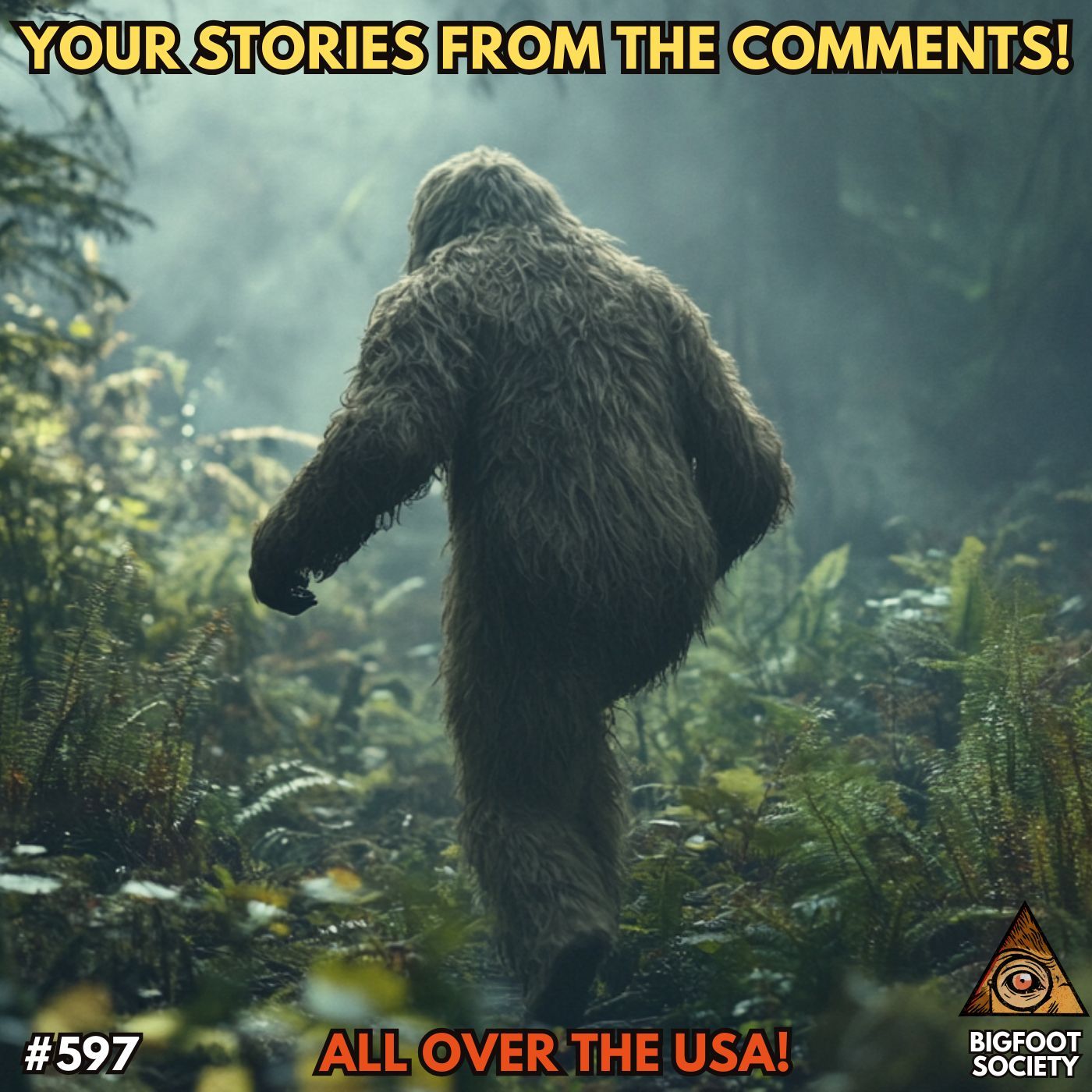 Listener Bigfoot Encounters from the Comments!