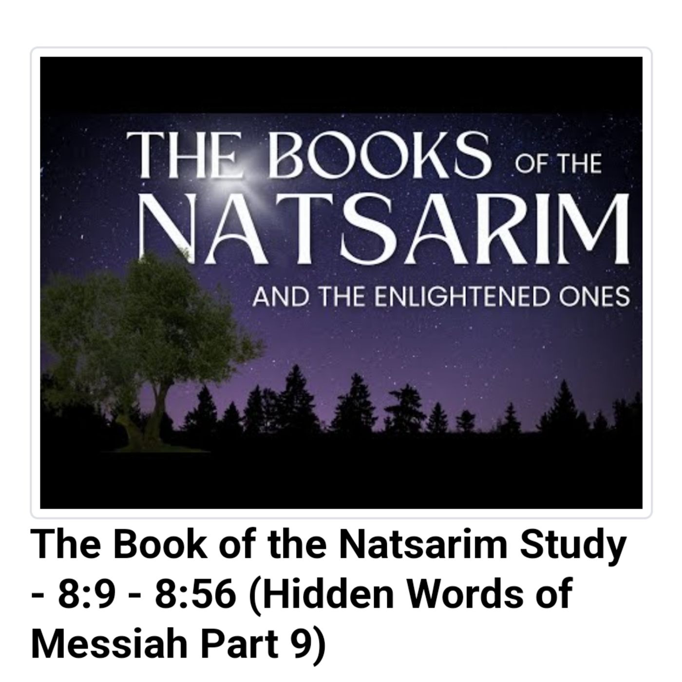 The Book of the Natsarim Study - 8:9 - 8:56 (Hidden Words of Messiah Part 9) episode artwork