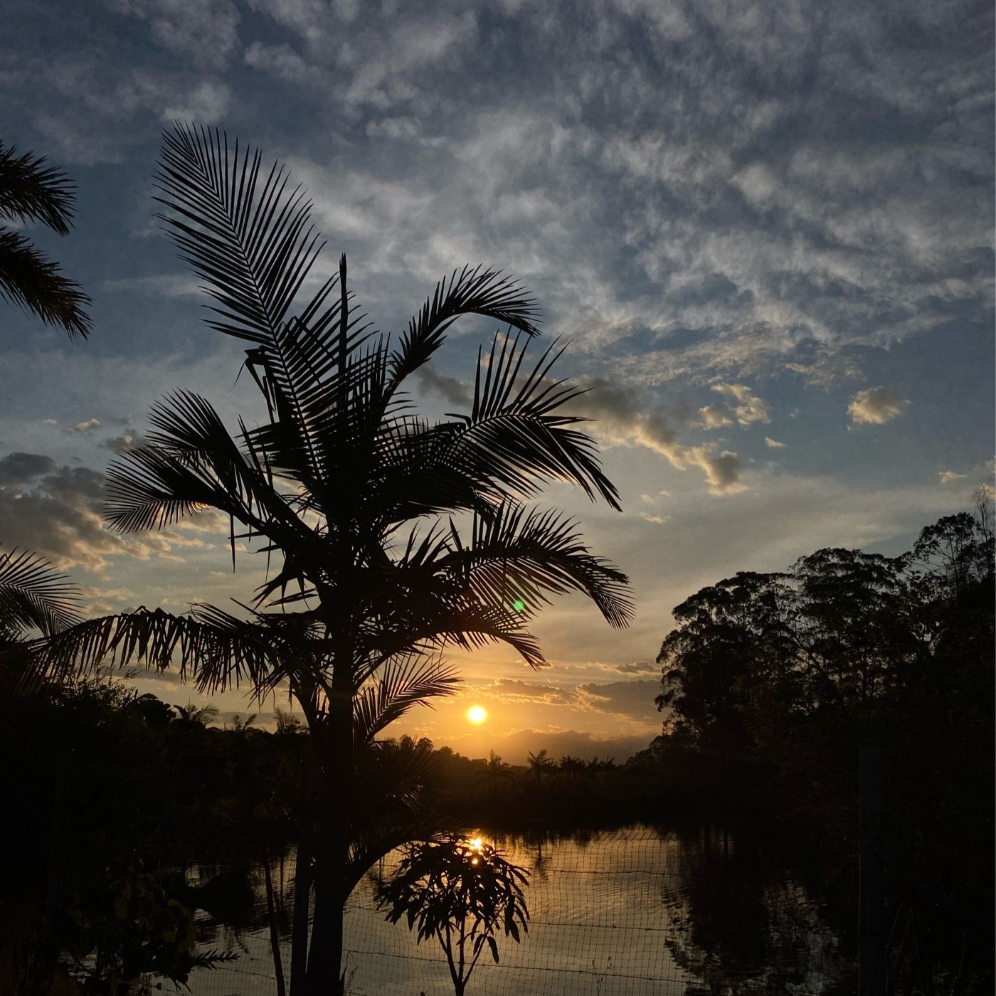 AUDIO GA3-240202501-AA1-EV02