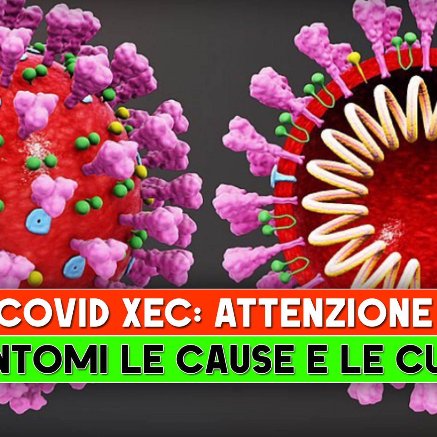 La Nuova Variante COVID-19 Xec: Cause, Sintomi E Rimedi! episode artwork