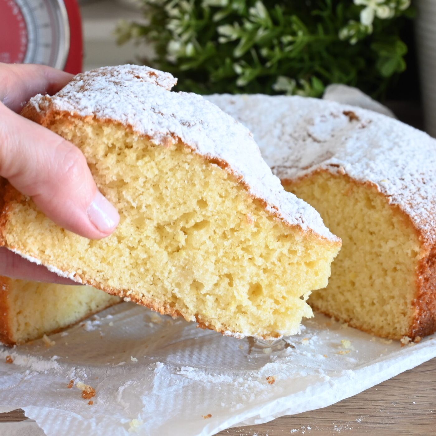 Torta Morbidissima