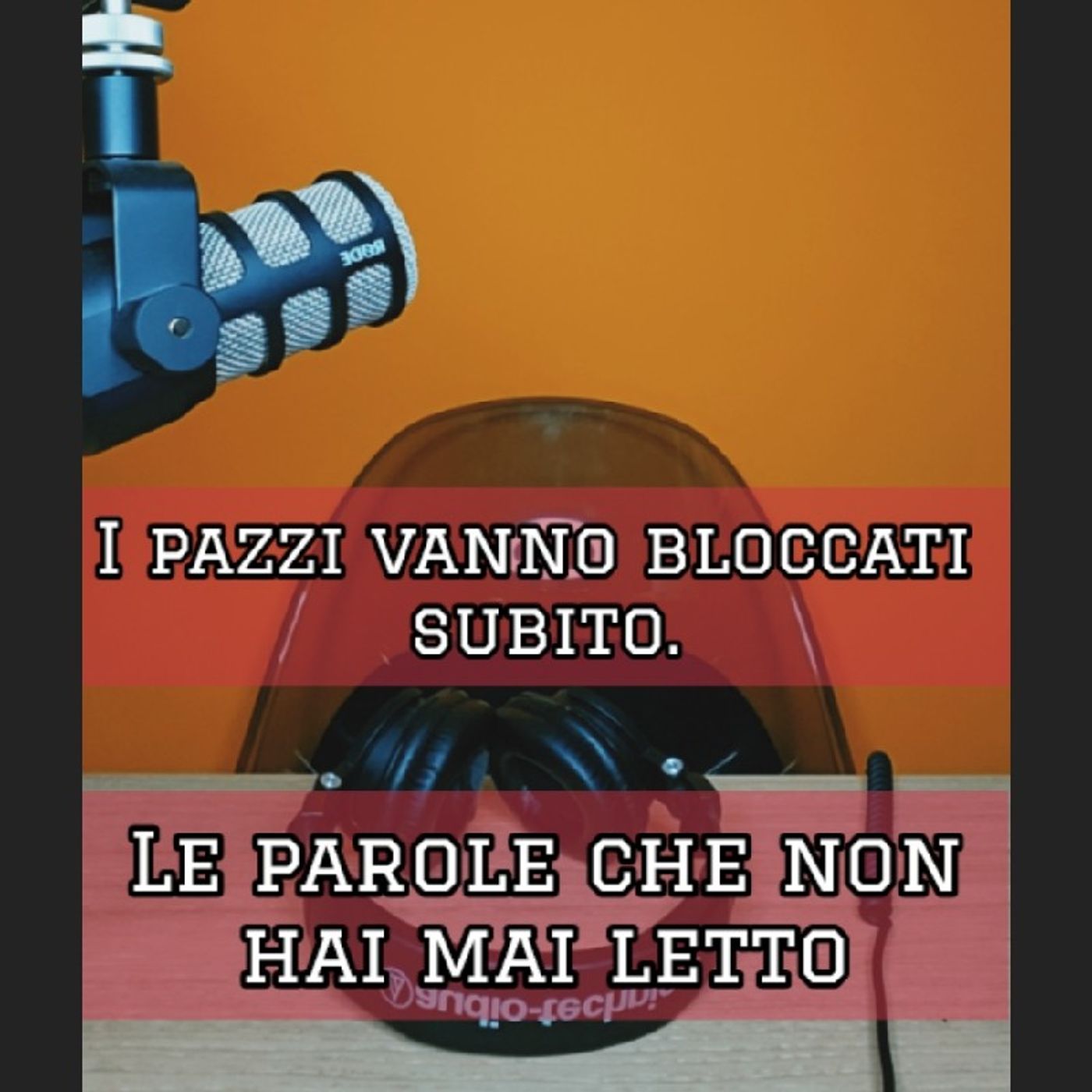 Episodio 1751 - I pazzi vanno bloccati..subito!