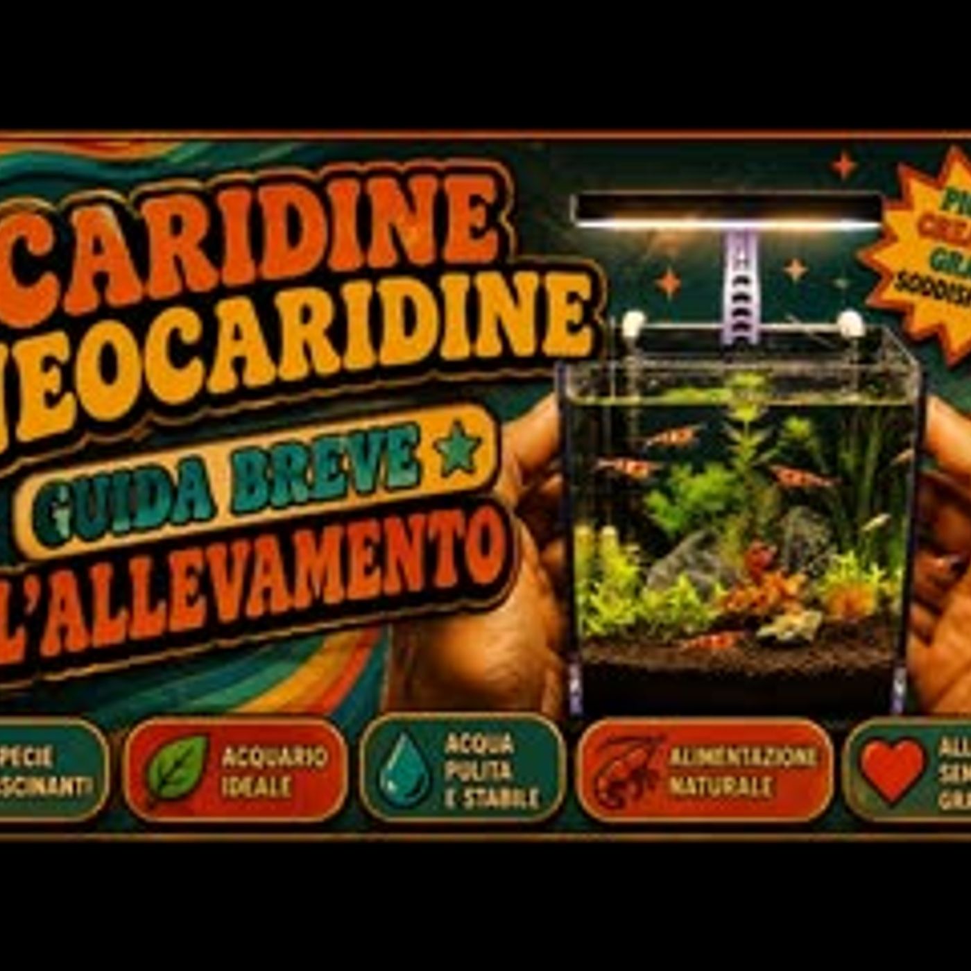 NESSUNO HA CAPITO COME ALLEVARE LE CARIDINE E LE NEOCARIDINE episode artwork