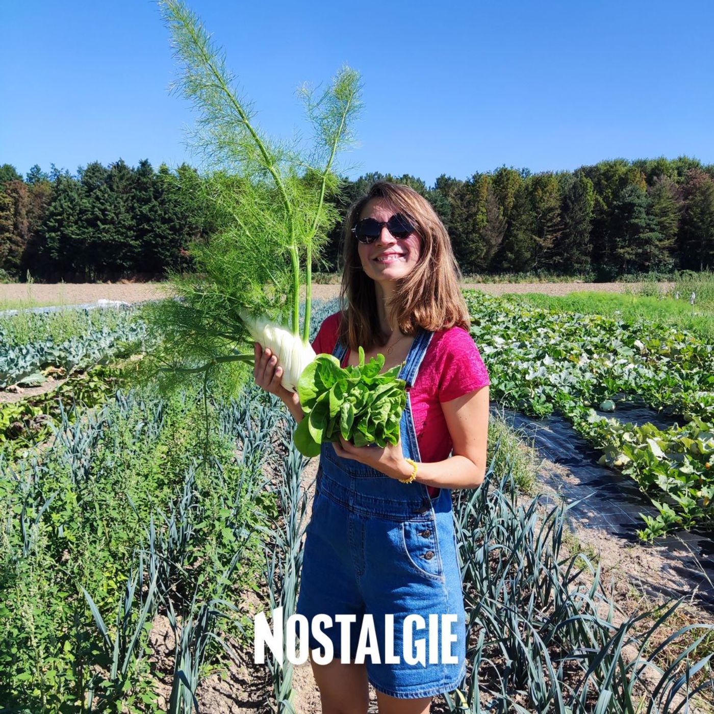 Alimentation durable : le potager d'auto-cueillette et des légumes toute l'année episode artwork