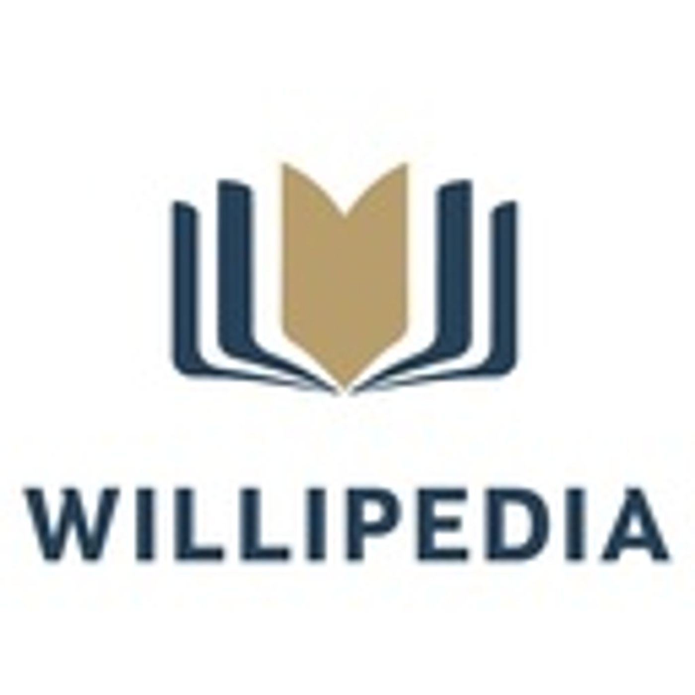 Willipedia - Steuern und Recht in Spanien