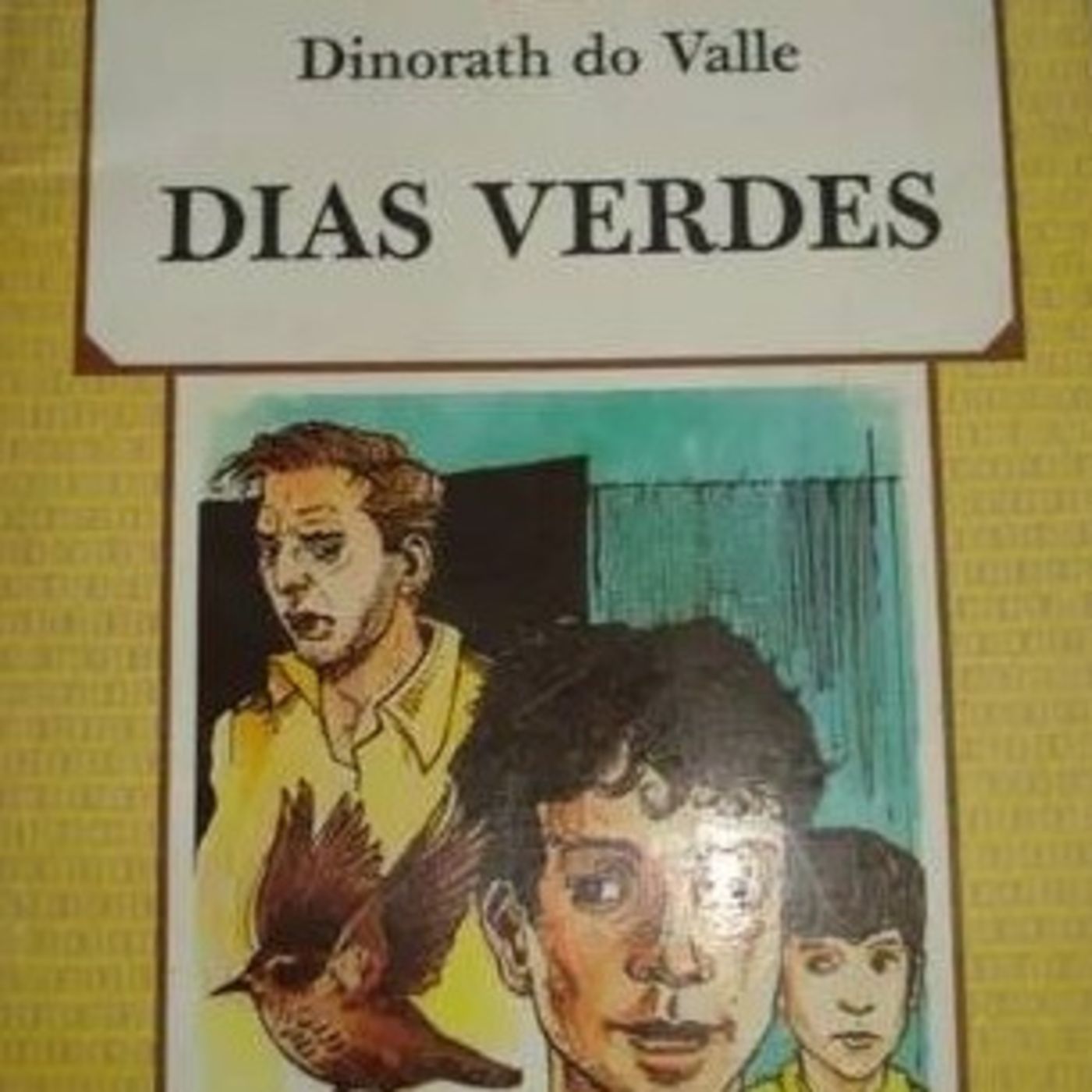 A literatura infantojuvenil na obra de Dinorath do Valle episode artwork