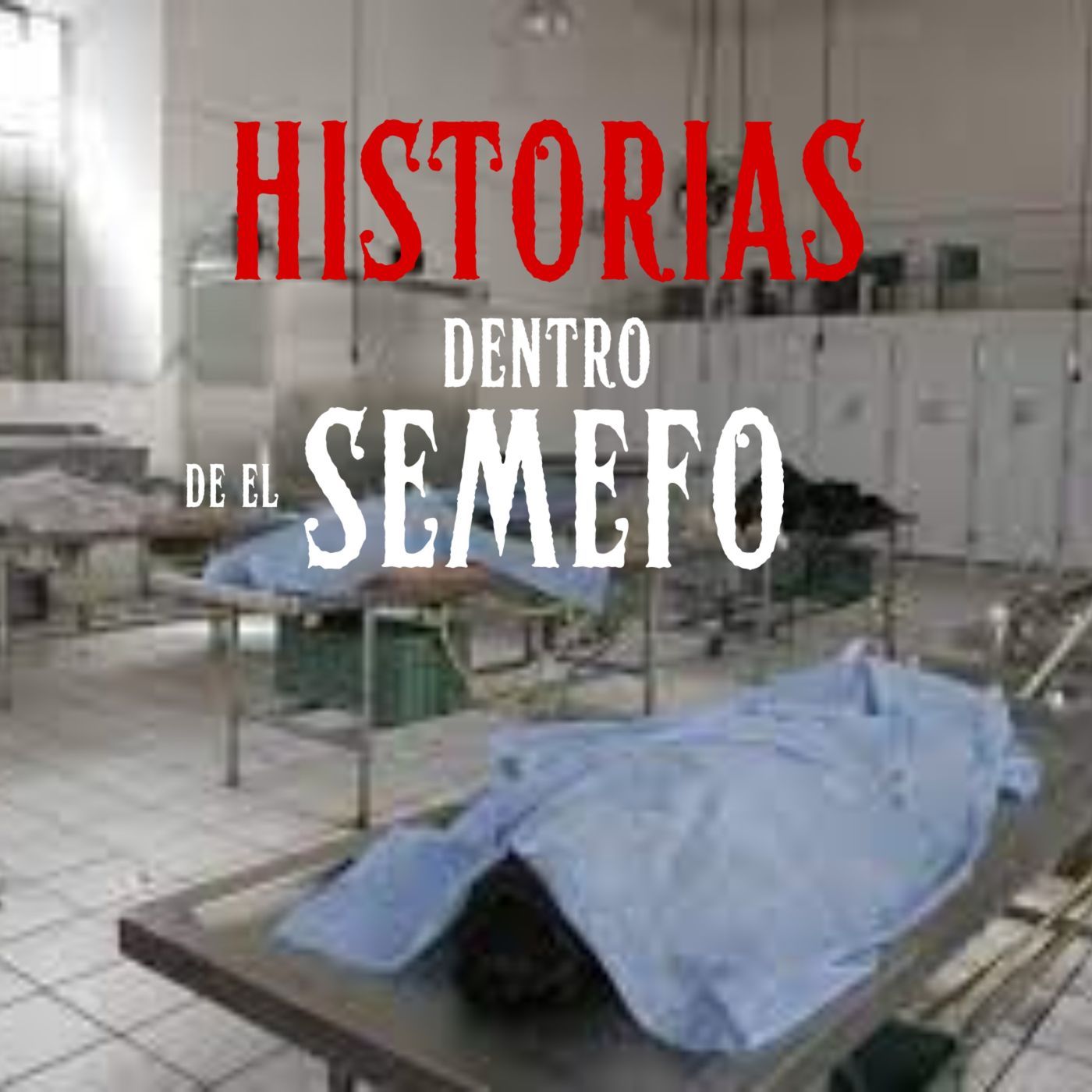 TERRORÍFICA NOCHE PARA TRABAJAR EN EL FORENSE