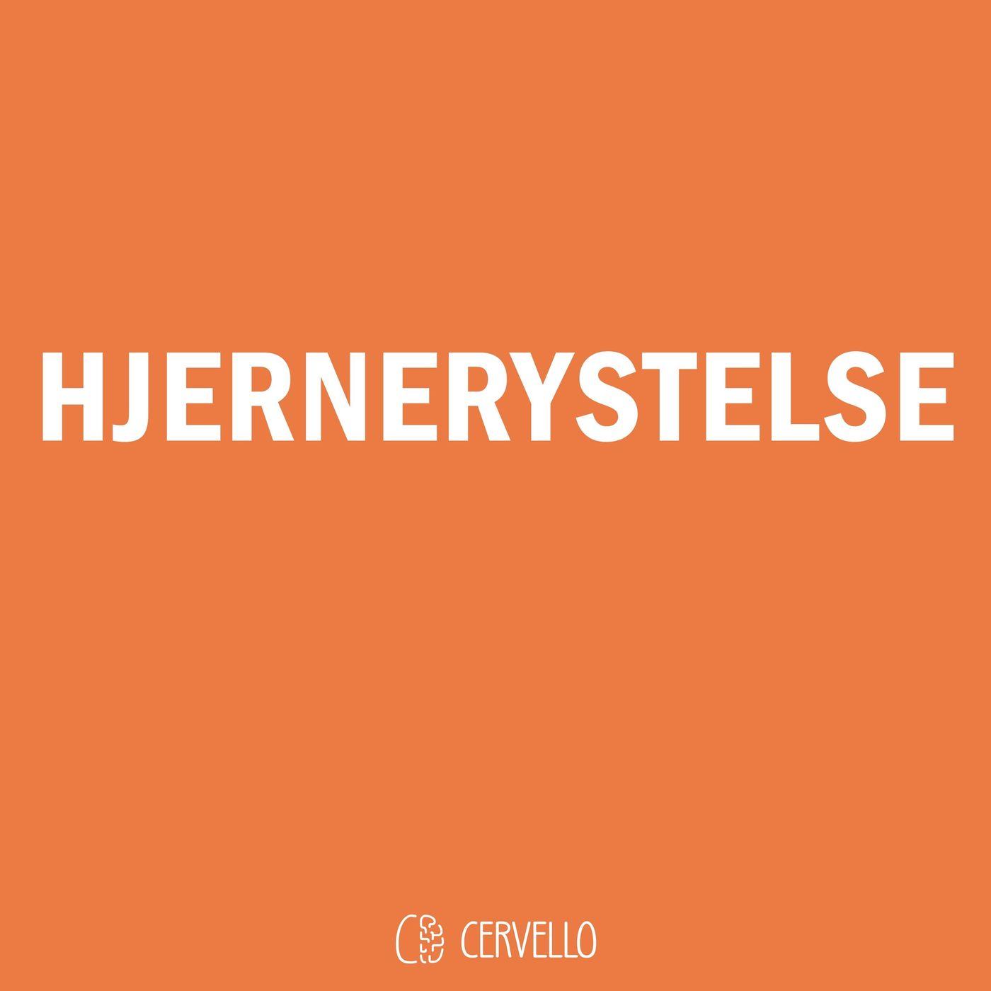 HJERNERYSTELSE