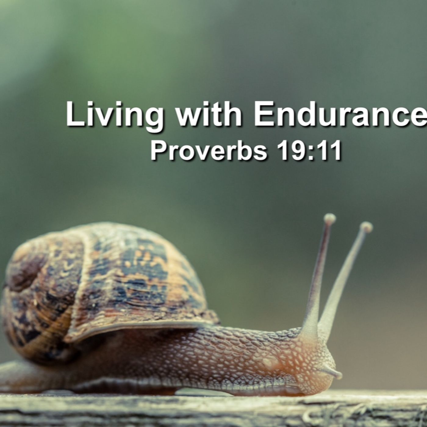 Living With Endurance by Pastor Steve Smith episode artwork