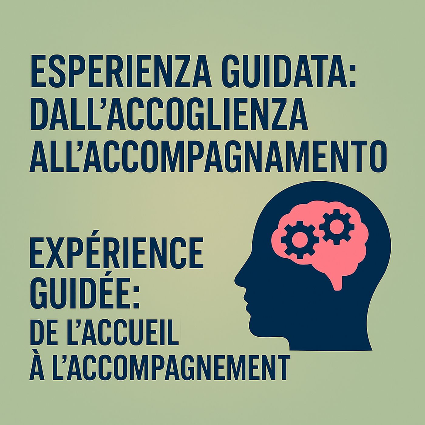 #1 EXPERIENCE GUIDEE DE L'ACCUEIL A L'ACCOMPAGNEMENT - FRA episode artwork