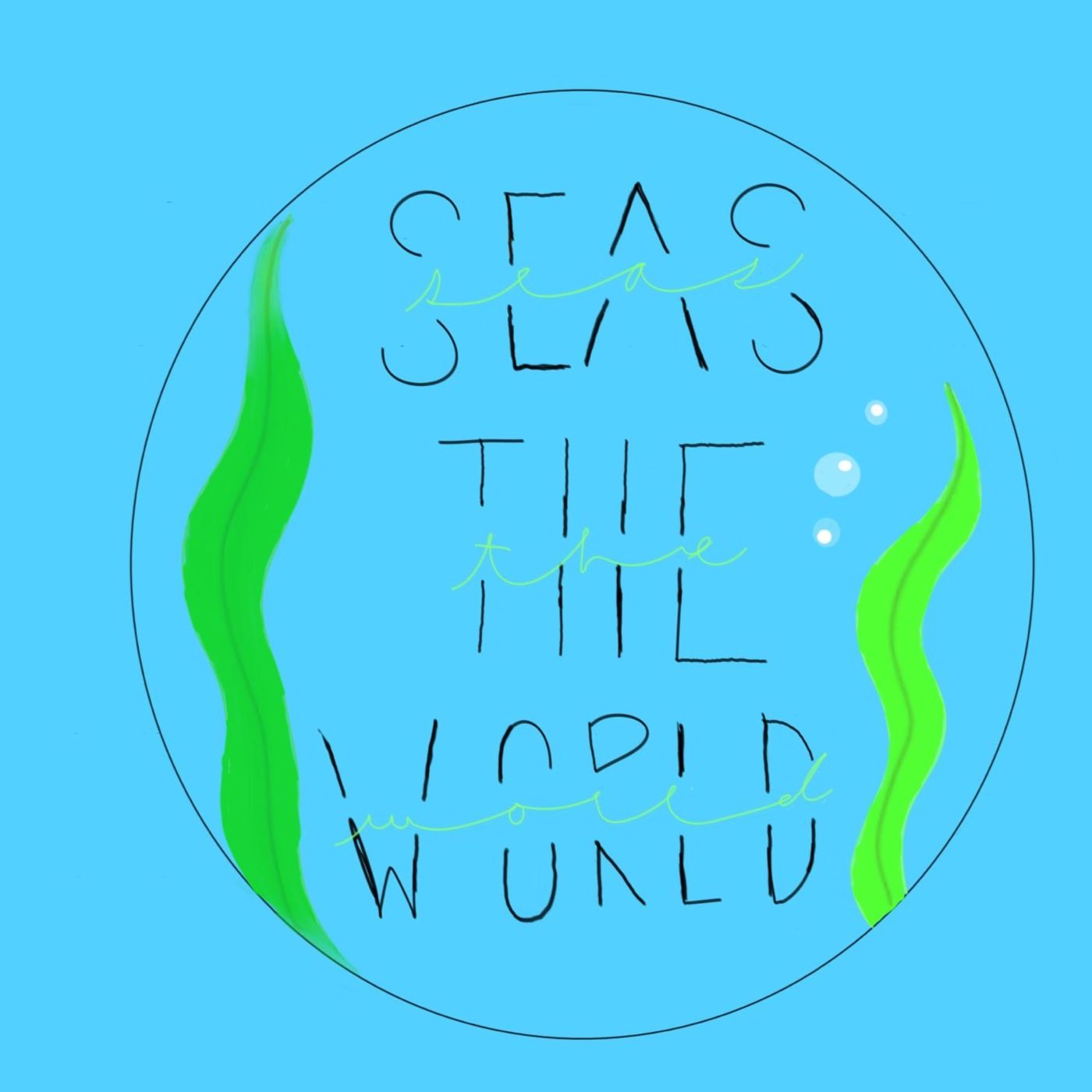 Seas The World