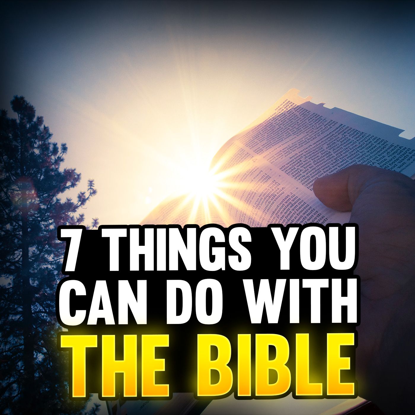 Episode 96 - 7 Things You Can Do With The Bible