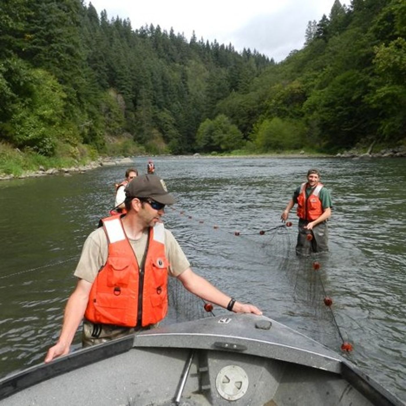 Biologists Move Threatened Chinook As Condit Dam Comes Down episode artwork