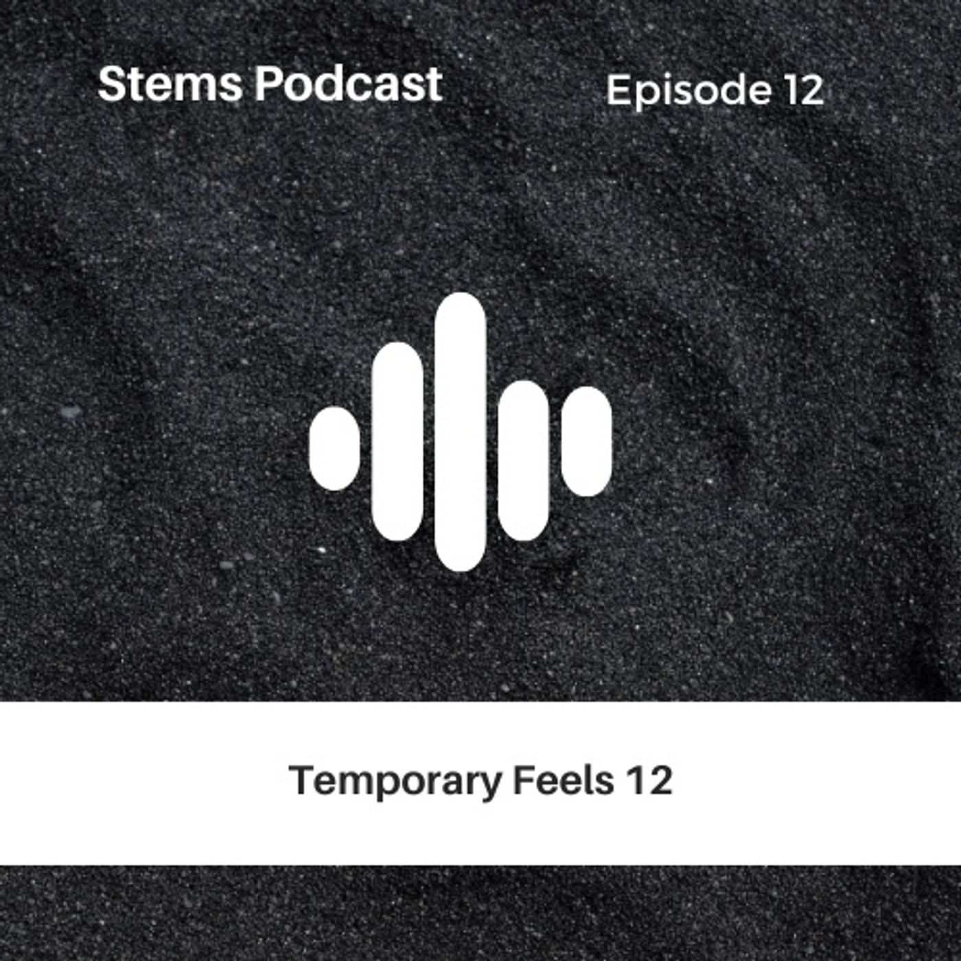 Temporary Feels | EPISODE 12 episode artwork