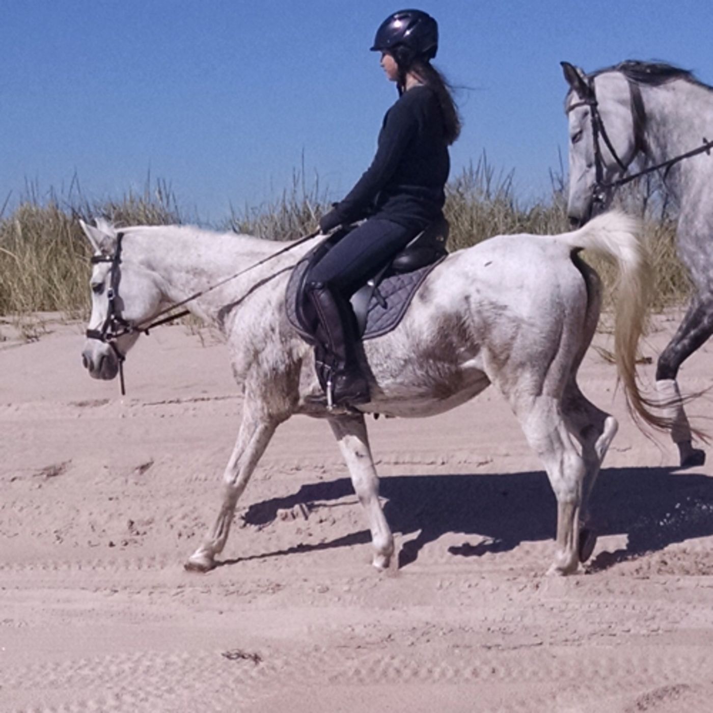 Holly’s story: Separation anxiety, Trust, chronic eye issues and more