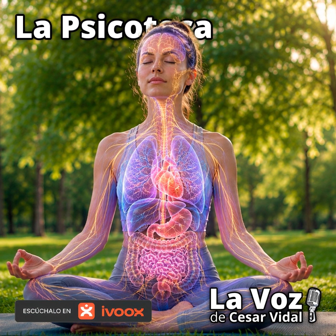 La Psicoteca: RESPIRAR LO CAMBIA TODO: Cómo tu respiración transforma tu sistema nervioso - 06/05/26