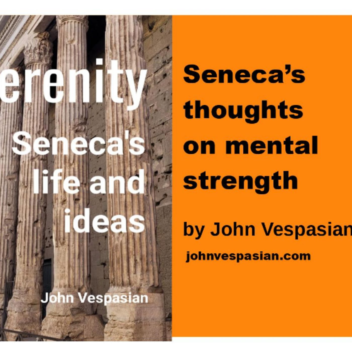 Seneca’s thoughts on mental strength episode artwork