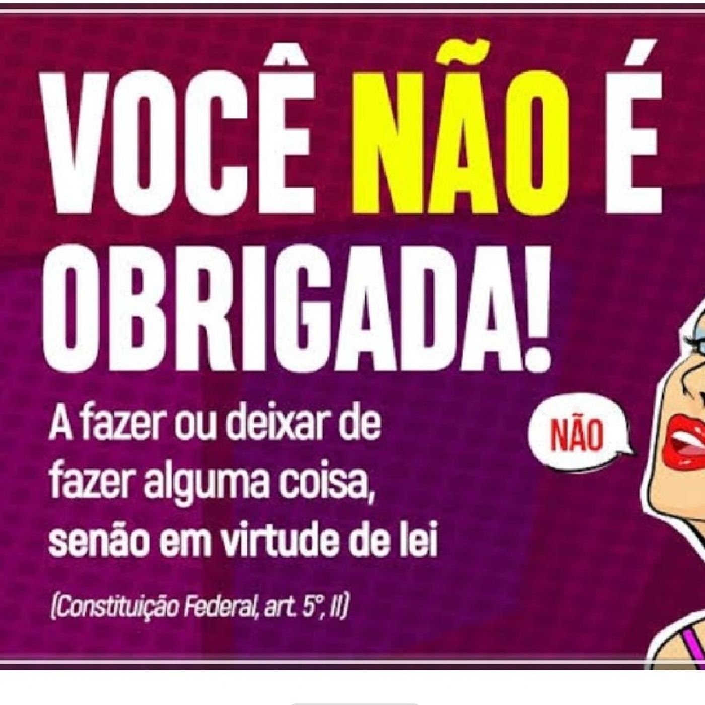 Nosso Direito Constitucional