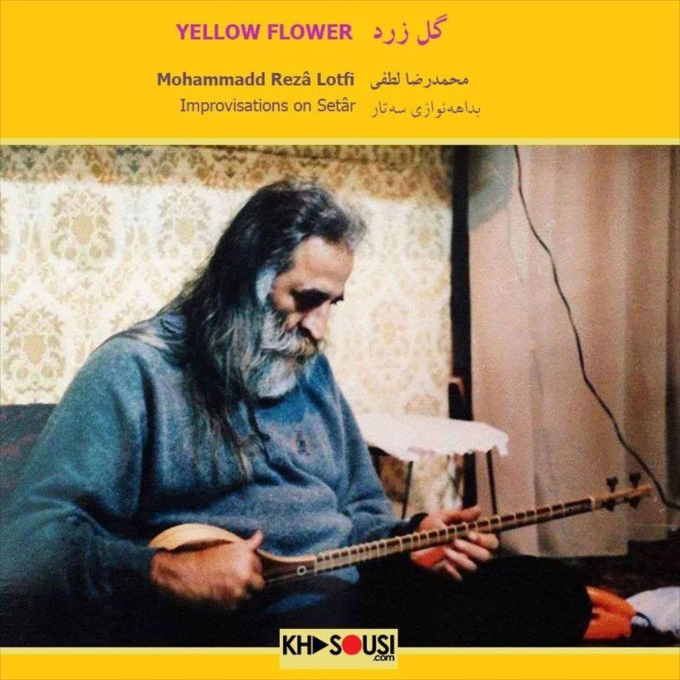 Gole Zard - Mohammadreza Lotfi