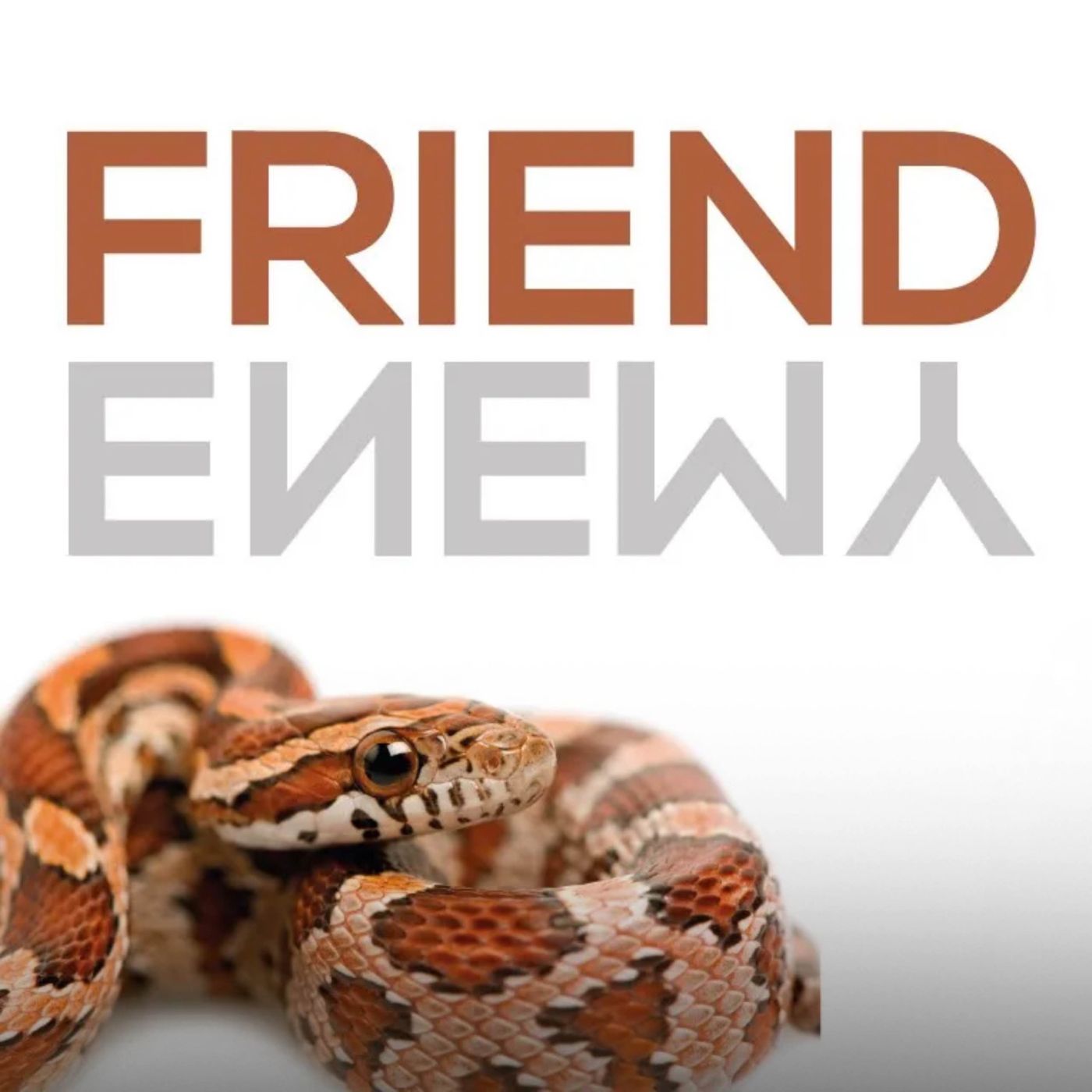 Your Friends | Mufti Menk Podcast