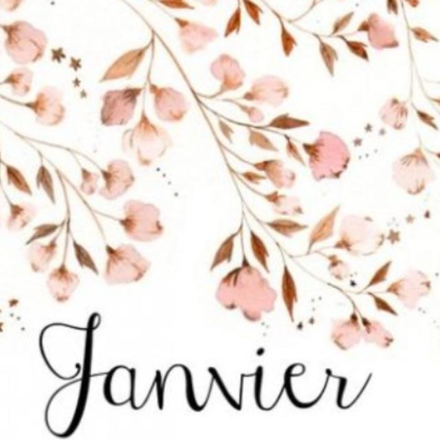 #bruxelles Qu’est-ce qu’il s’est passé en Janvier? episode artwork