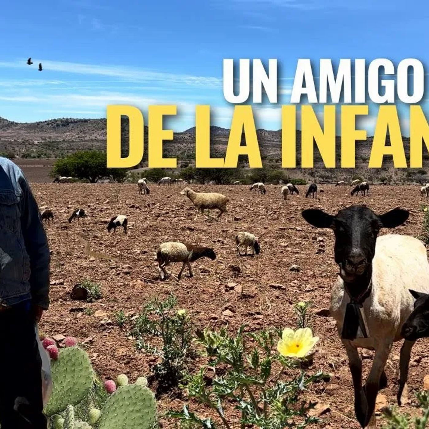 _BONITOS RECUERDOS TENEMOS YO Y MI AMIGO EL CHATITO DE CUANDO ERAMOS NIÑOS_