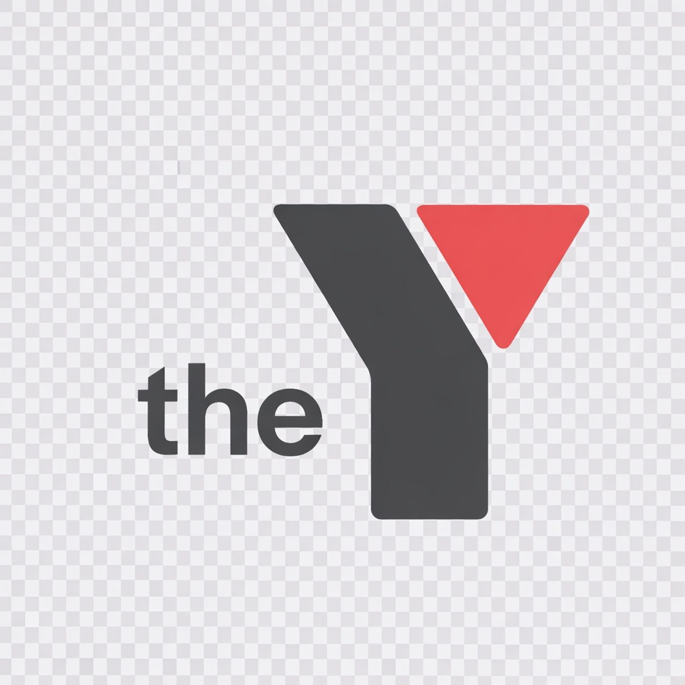 The Y Inclusion Services cover art