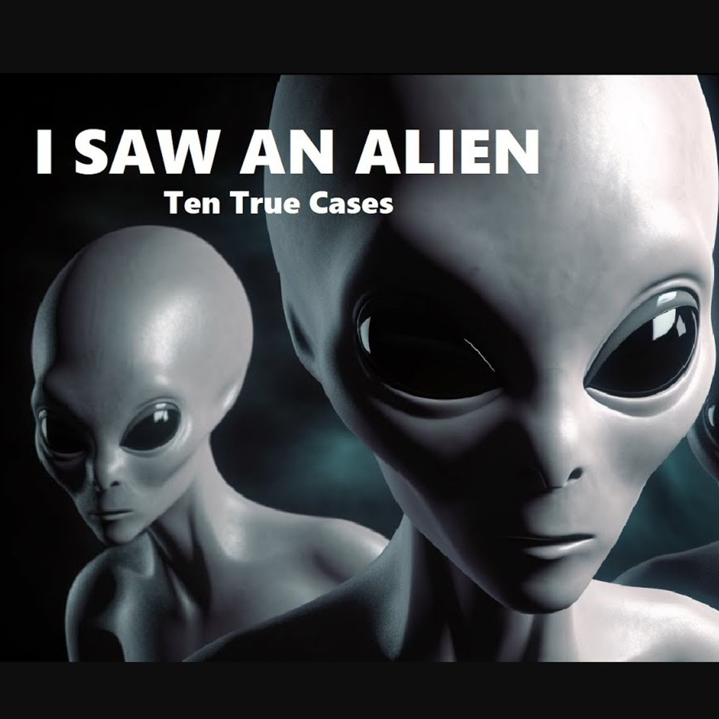 I Saw an Alien: Ten True Cases