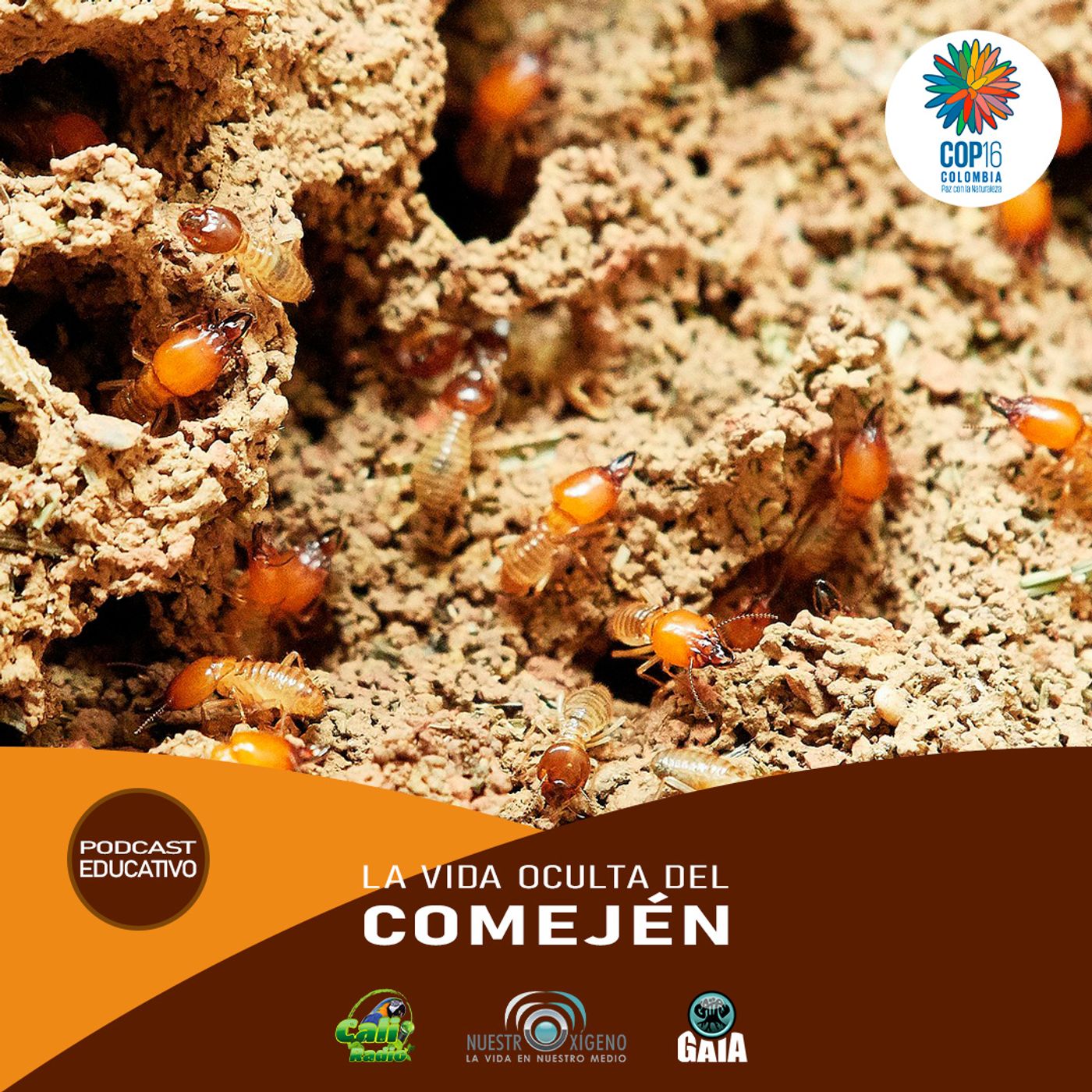 2024 Nuestro Oxigeno 04- Abril