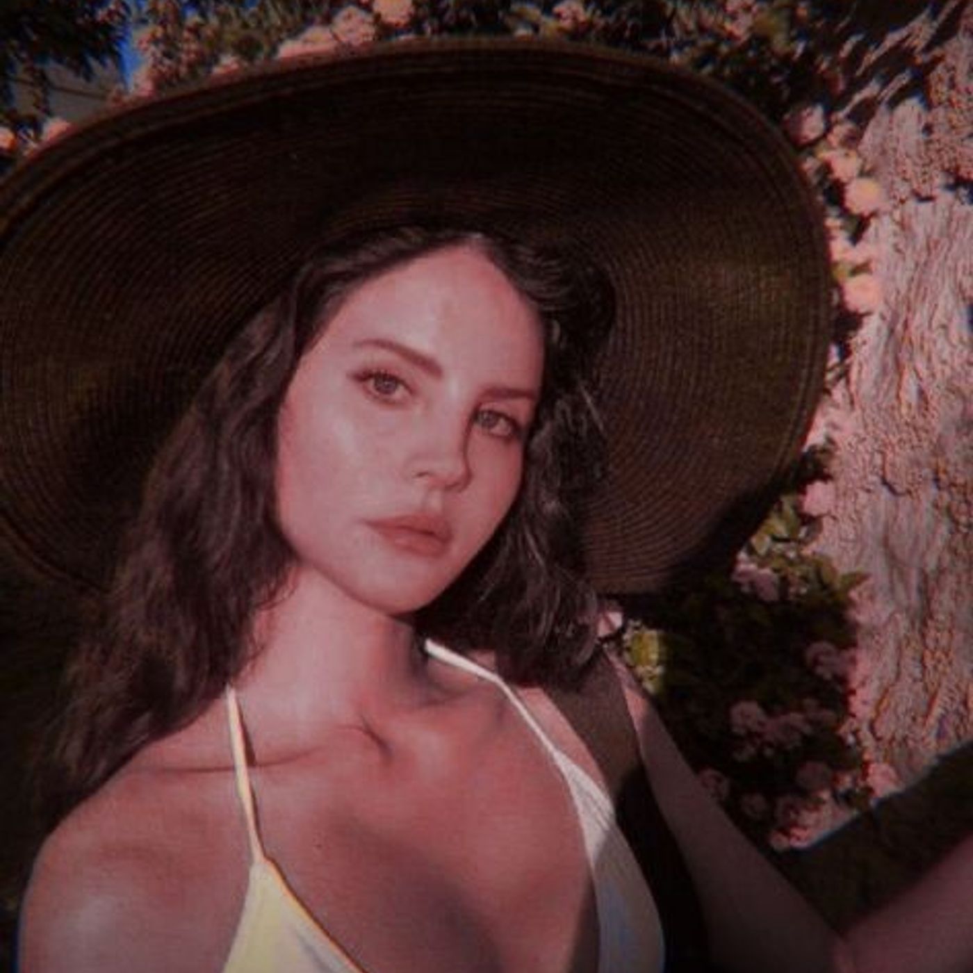 LDR musics