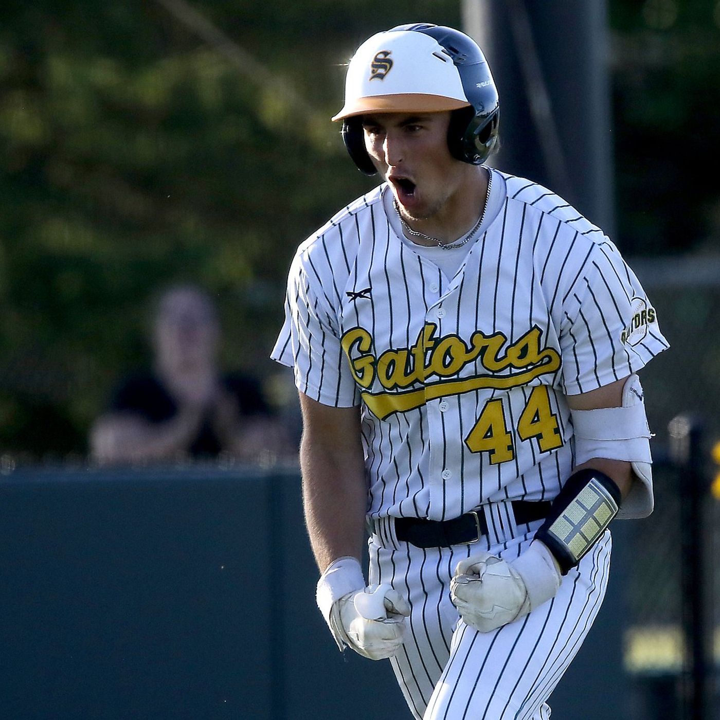 Michael Silvius belts first high school home run, Crystal Lake South walks off Prairie Ridge in FVC finale episode artwork