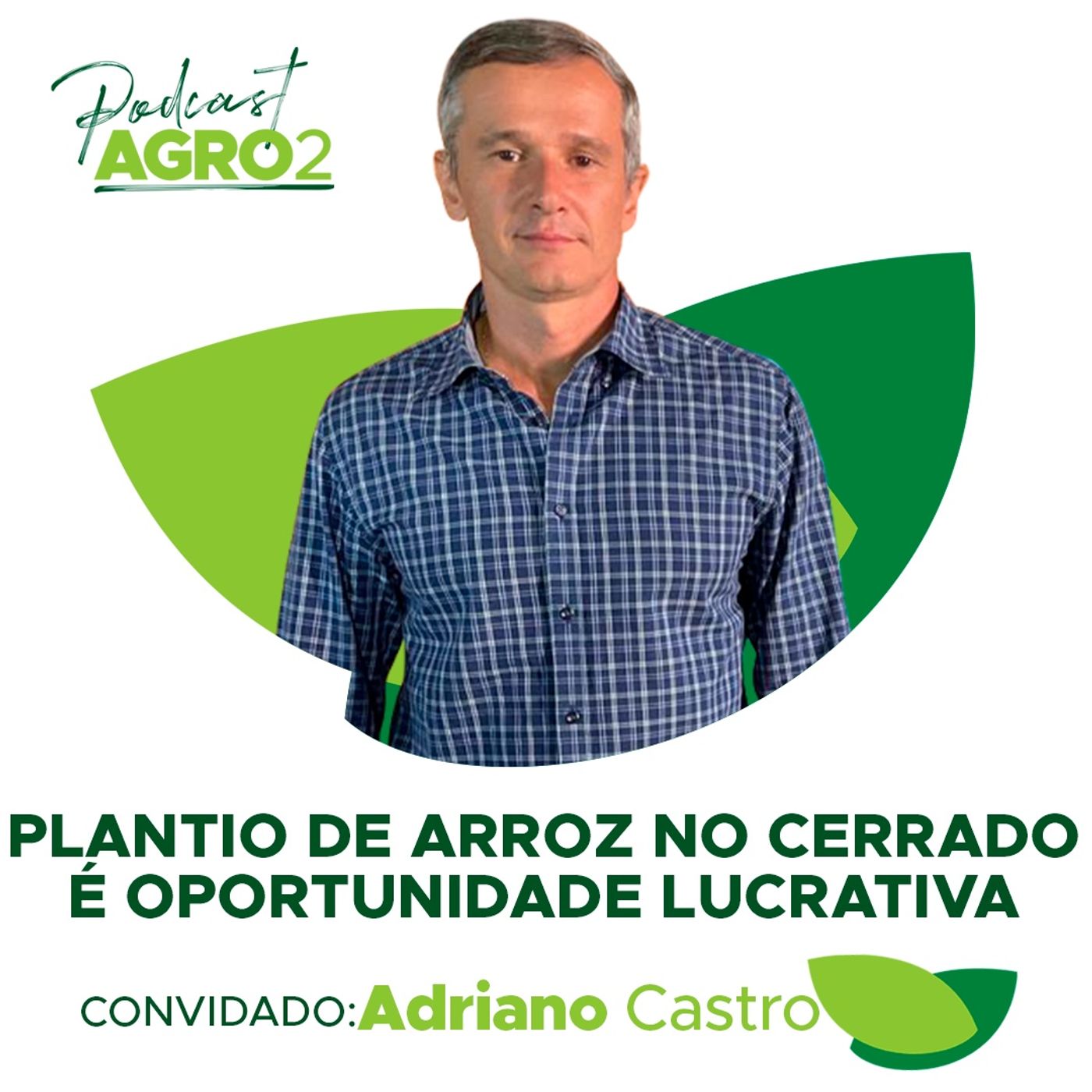 Cultivo de arroz é opção lucrativa integrada à cultura de grãos como soja, milho e feijão #163 episode artwork