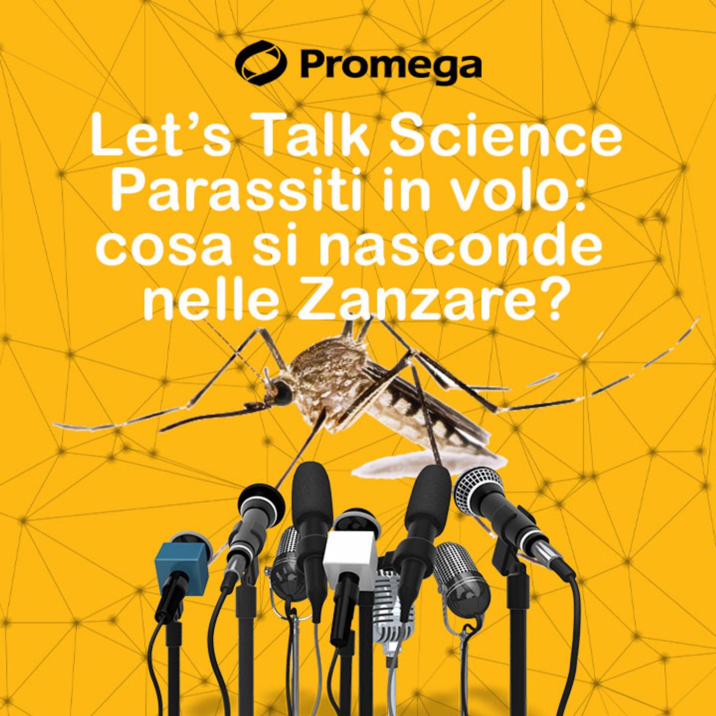 Let’s talk Science - La Ricerca Italiana si Racconta