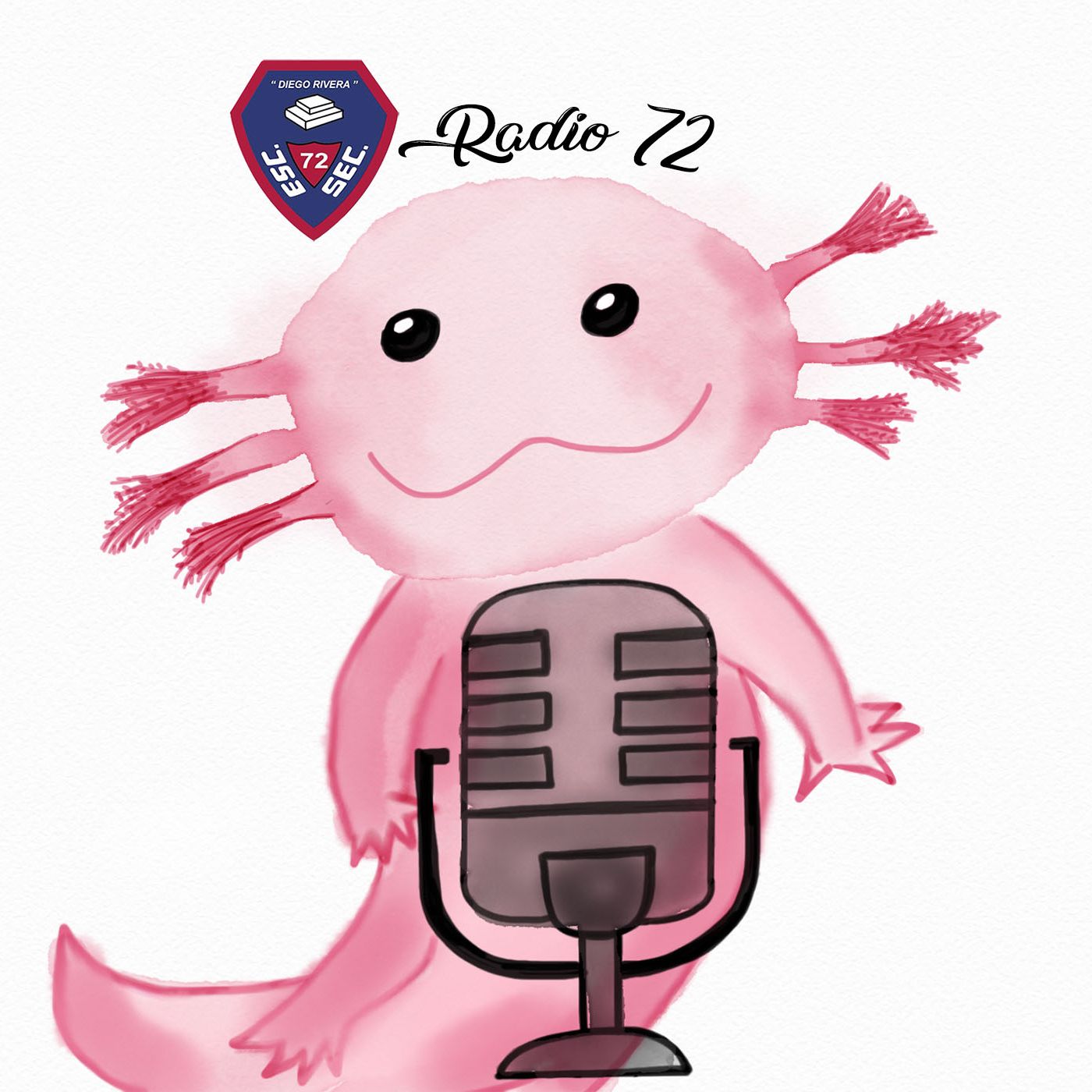 Radio 72: Diversidad cultural