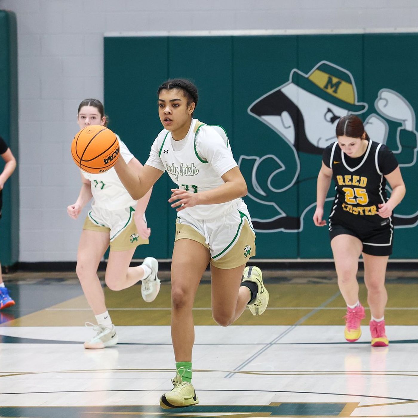 Defensive-minded Bishop McNamara downs Reed-Custer in regional semis episode artwork