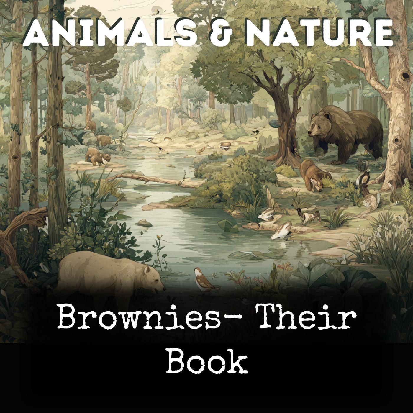 Brownies- Their Book