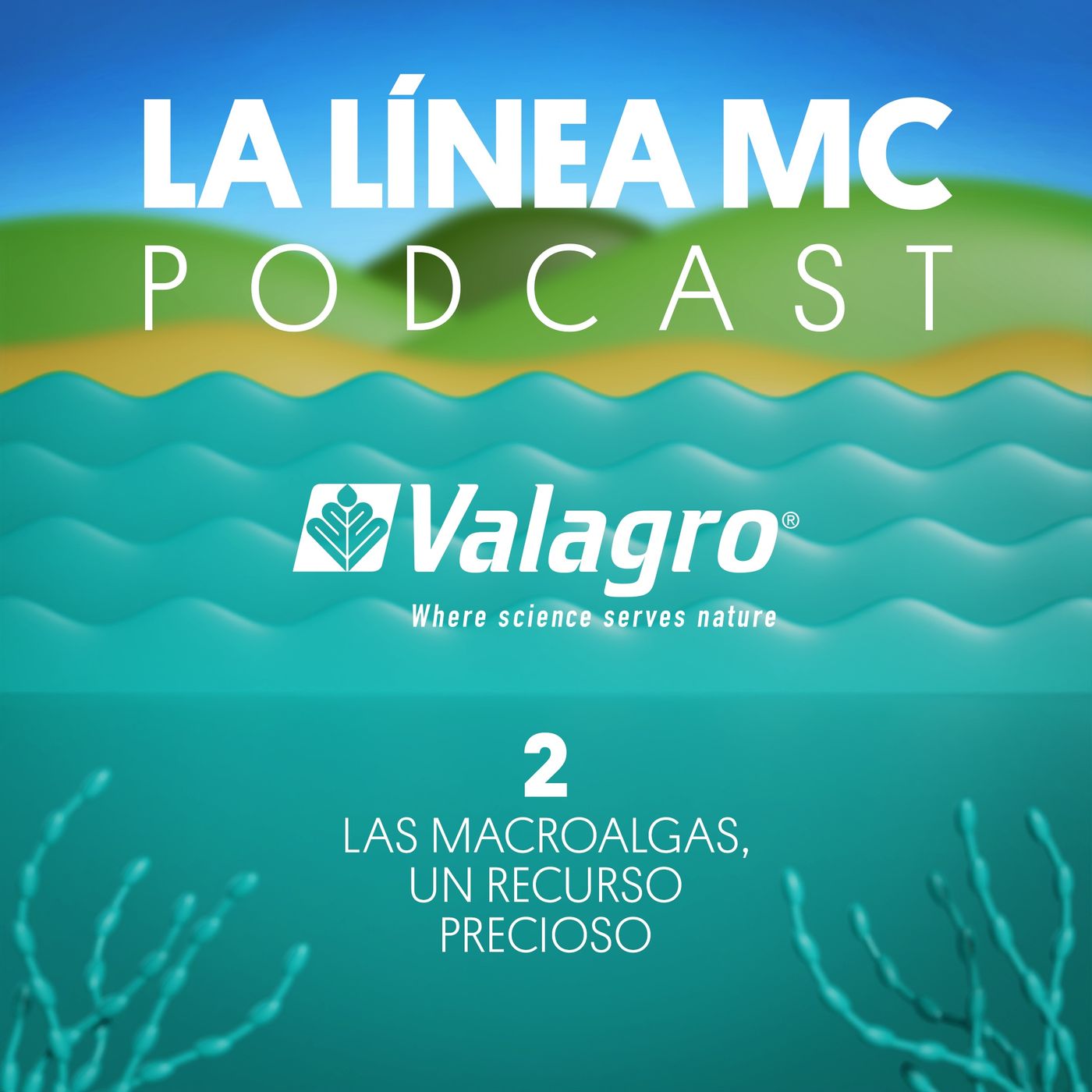 02. Las macroalgas, un recurso precioso