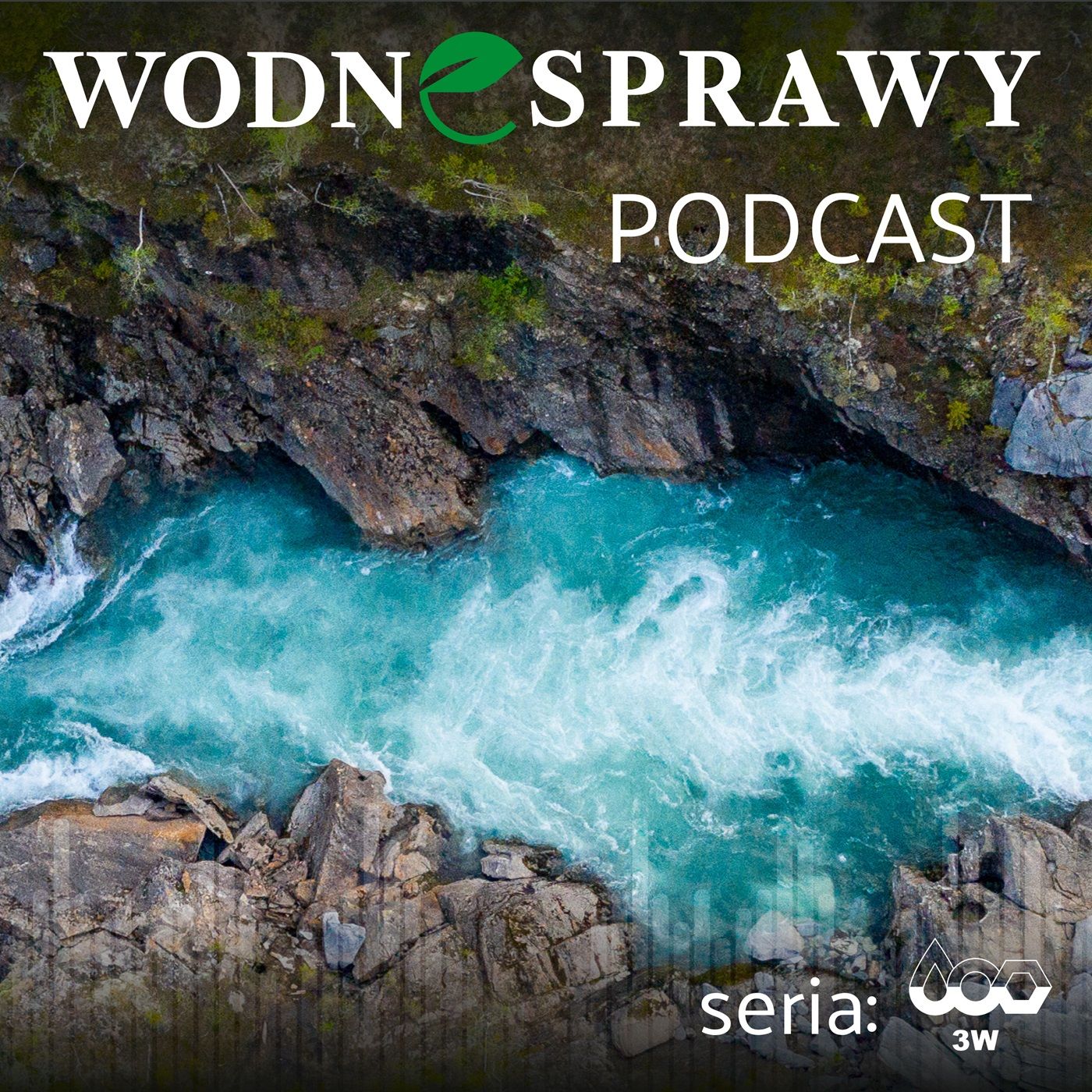 Rozmowa o wodzie z Ewą Ewart podcast artwork
