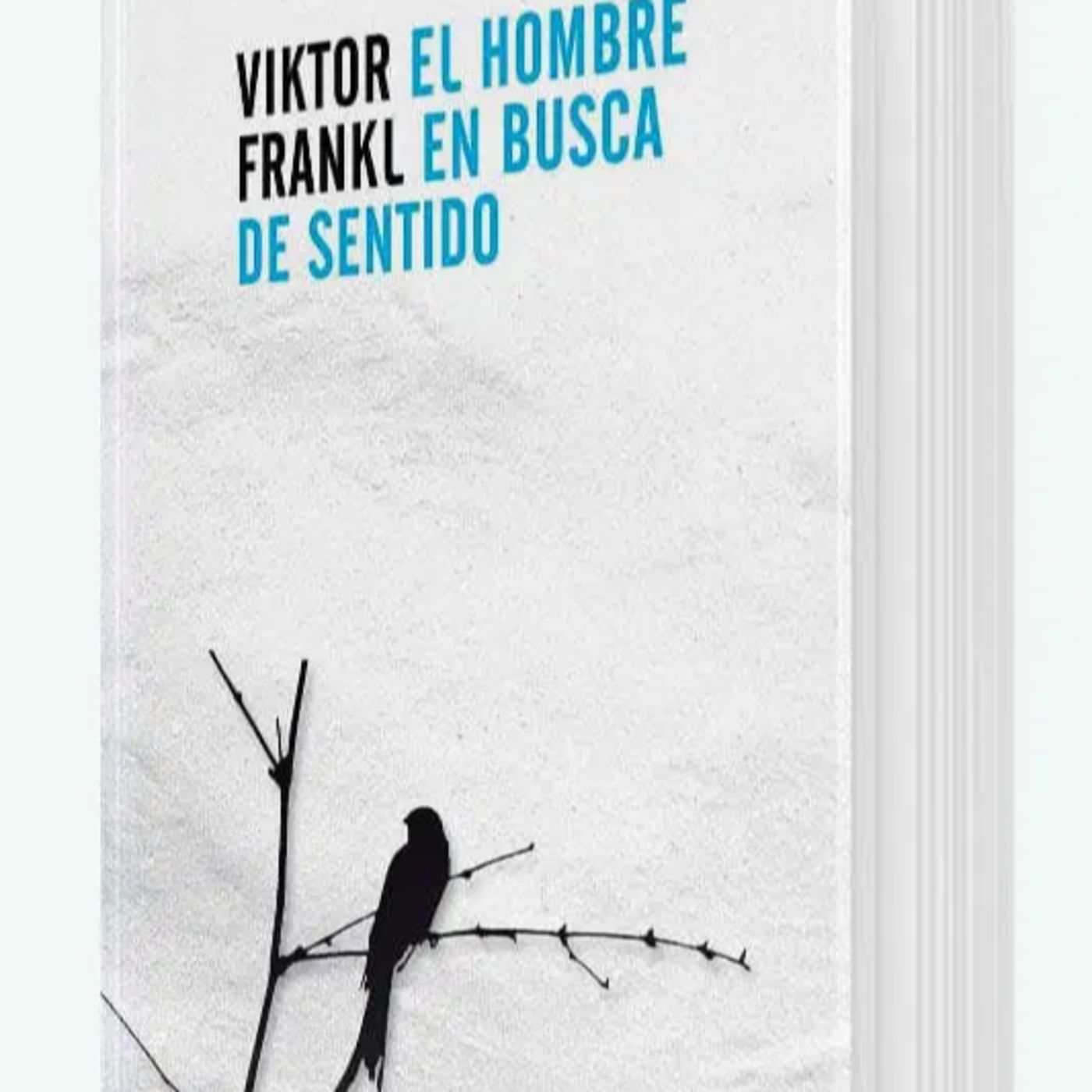 Vos en Off - Vicky Sinnott - El Hombre en Busca de Sentido episode artwork